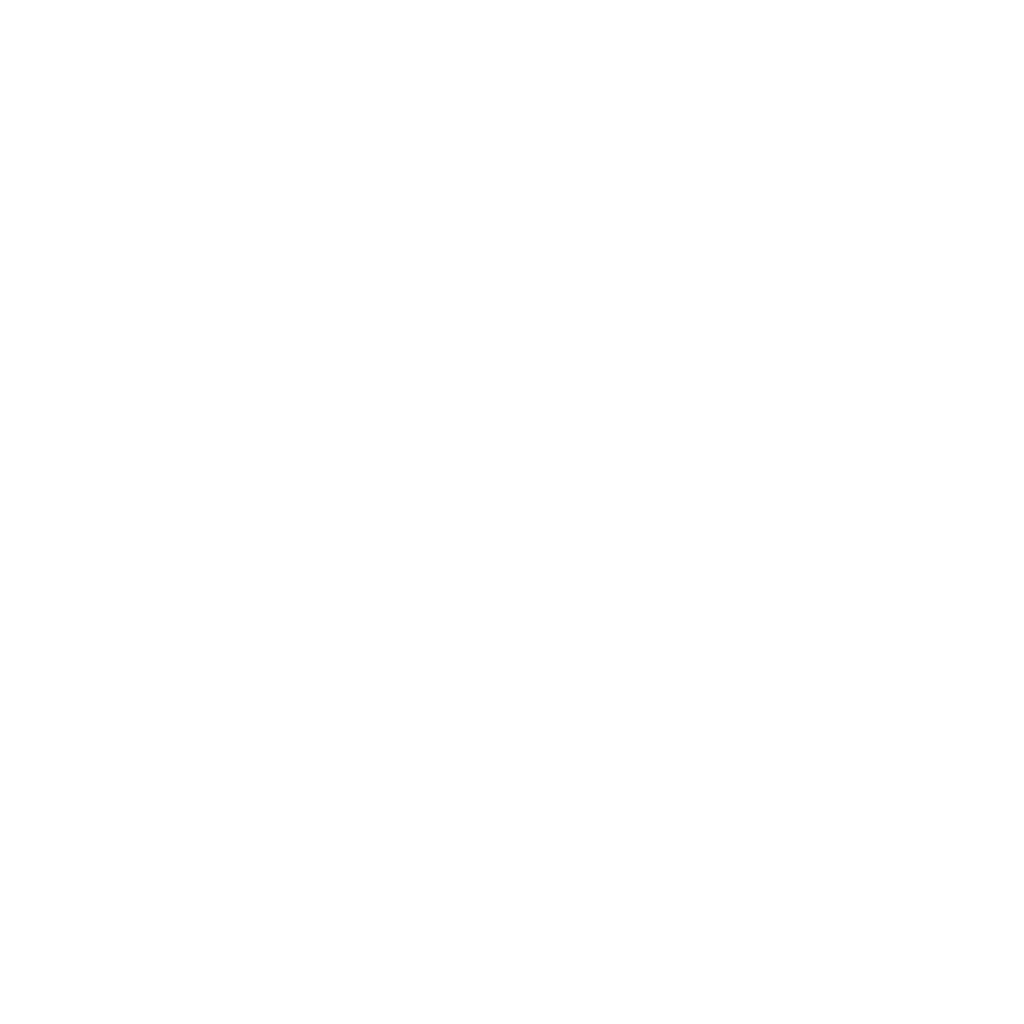 BegmrAI